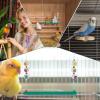 Chicken Swing with Bell, Bird Toy with 2 Rattan Balls view 4
