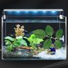 Artificial Aquarium Plant with Suction Cup view 2