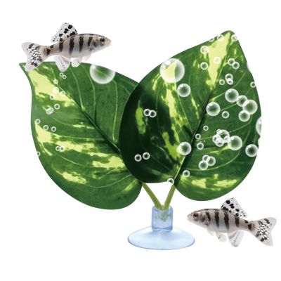 Doiyislem Betta Bed for Aquarium