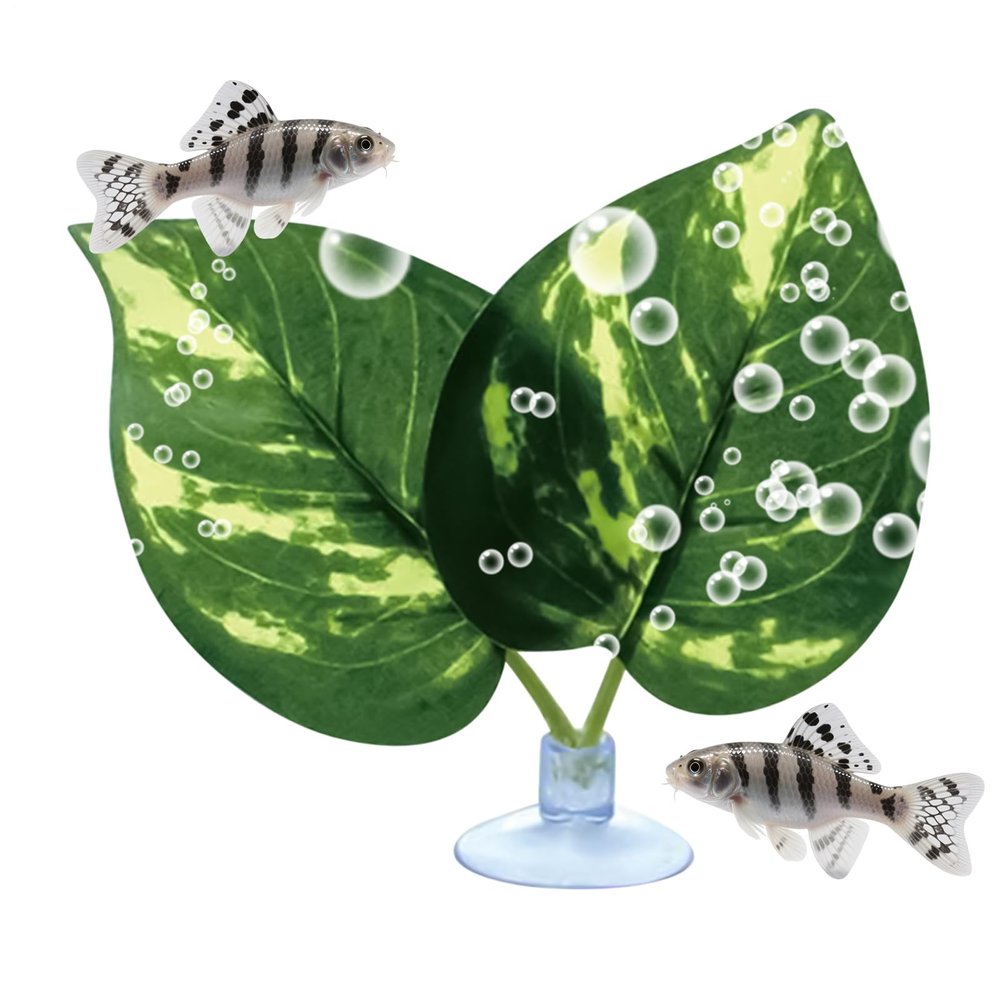 Doiyislem Betta Bed for Aquarium