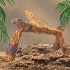 Lpoppcx Resin Climbing Branch for Snakes and Lizards view 3