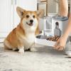 Cat Food Dispenser with Leak-Proof Water and Treat Accessory view 2
