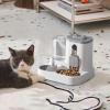 Cat Food Dispenser with Leak-Proof Water and Treat Accessory view 3