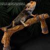 Reptile Climbing Branch Resin Terrarium Decor for Chameleons view 3