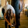 Portable Hoof Pick with Brush view 2
