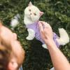 Cat Recovery Suit, Breathable Wound-Licking Protection view 2