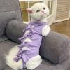 Cat Recovery Suit, Breathable Wound-Licking Protection view 3