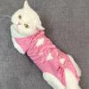 Breathable Soft Surgical Recovery Suit for Female Cats view 3
