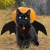 Cat Costume, Halloween Wings Cosplay Costume view 3