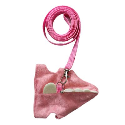 Rabbit Harness with Leash