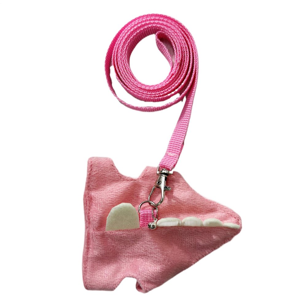 Rabbit Harness with Leash