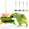 JTQYFI Bird Food Holder Fruit Skewer view 2