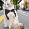 Escape-Proof Cat Harness with Leash view 2