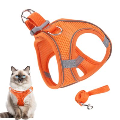 Adjustable Cat Harness for Walking