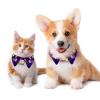 Dog Collar with Bow Tie and Bell, Colorful Jellyfish Sea-Color Pattern, Adjustable Reversible Design, Cat Bow Tie Collar for Small Pets, 2-Pack view 2