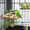 Stainless Steel Bird Feeder with Wooden Perch view 4