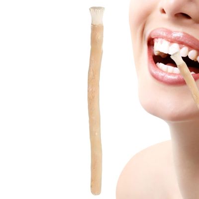 Natural Toothbrush Stick for Cleaning