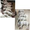 Hohopeti 15-Piece Puppy ID Collars view 4
