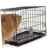 UPKOCH 2-Pack Durable Dog Urine Training Posts view 3