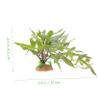 VERDANVERSE Artificial Reptile Plant with Resin Base view 2