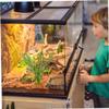 HEMOTON 2-Piece Artificial Plants for Bearded Dragon Terrarium view 4