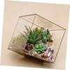 STOBAZA Water Stone Decor Crystal Stones, 1 Bag, 200 g for Vases view 2