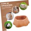Orange Ceramic Food Bowl for Guinea Pigs and Hamsters view 3