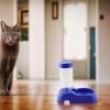 Automatic Water Dispenser for Pets view 3