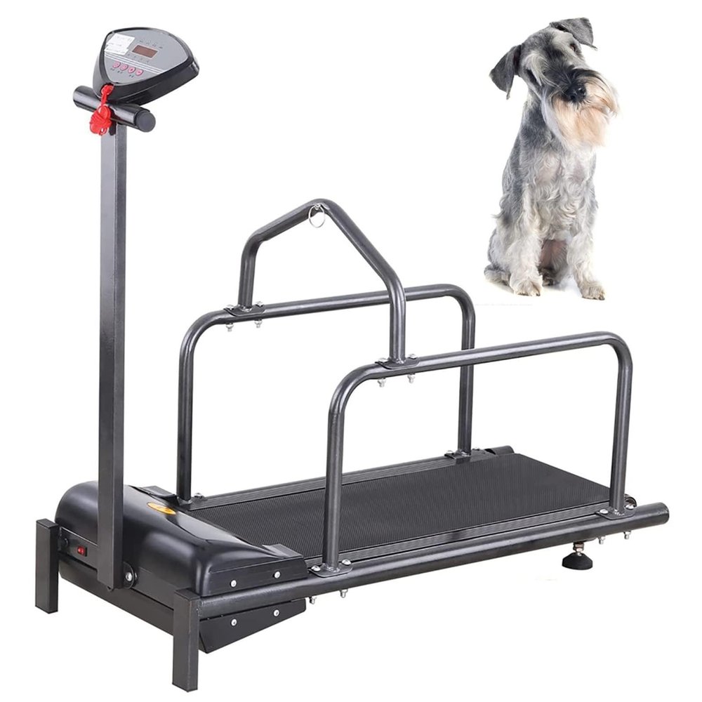 Dog Treadmill with LCD Display, Black