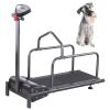 Dog Treadmill with LCD Display, Black view 1