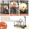 Dog Treadmill with LCD Display, Black view 2