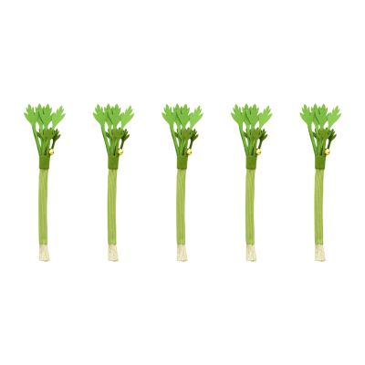Beimus Natural Silvervine Stick Cat Chew Toy
