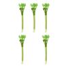 Beimus Natural Silvervine Stick Cat Chew Toy view 2