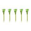 Beimus Natural Silvervine Stick Cat Chew Toy view 4