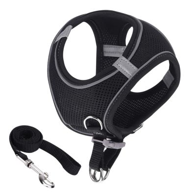 Travel Cat Harness with Leash