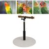 Xiuganpo 11.8–37.0 in Adjustable-Height Bird Perch Stand, Pepper Wood Parrot Perch, Removable Design, Portable Bird Training Accessory for Small to Medium Birds Outdoors view 4