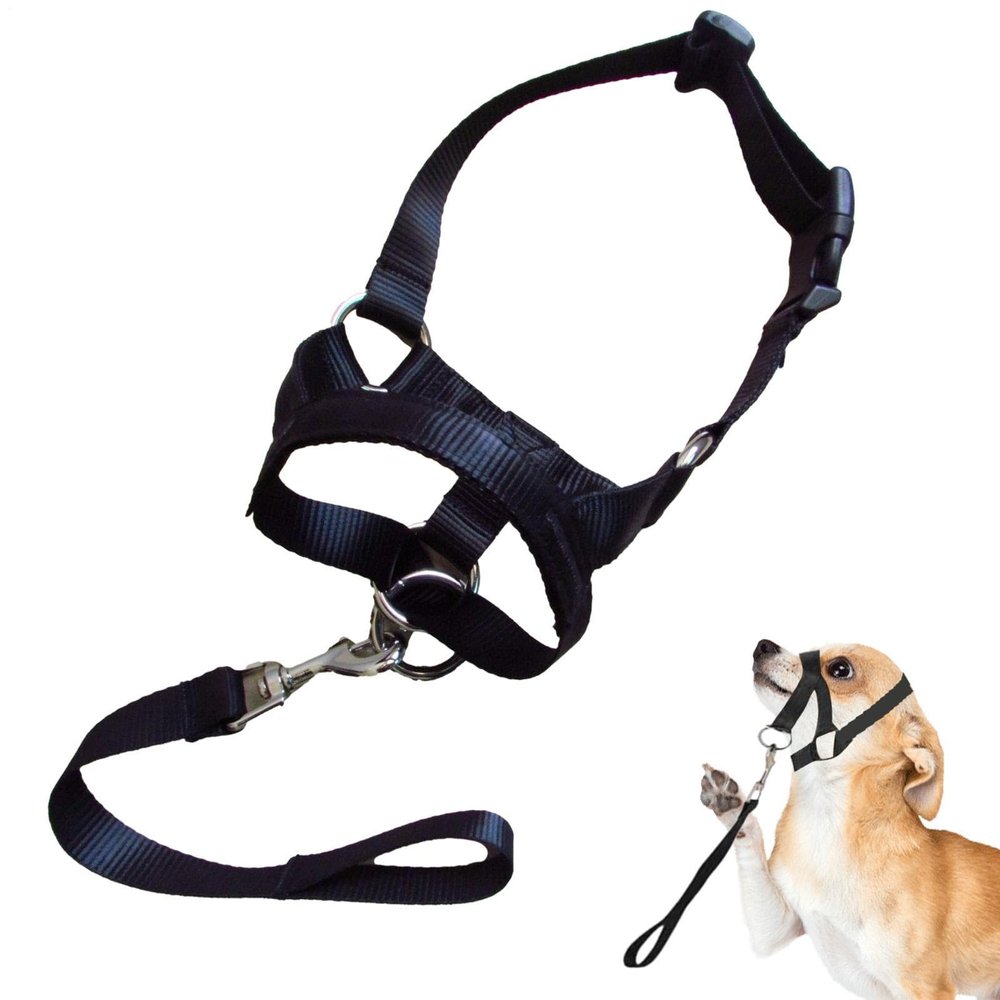 Muzzle for Medium Dogs