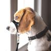 Muzzle for Medium Dogs view 3