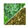 Herbs From Poland Dried Goat's Rue Herb, Whole and Natural, No Artificial Additives, Ideal for Infusions and Seasoning (500 g, Goat's Rue Herb) view 2