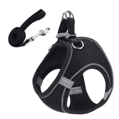 Escape-Proof Cat Harness