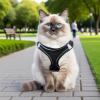 Escape-Proof Cat Harness view 2