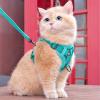 Adjustable Escape-Resistant Cat Harness with Leash view 3