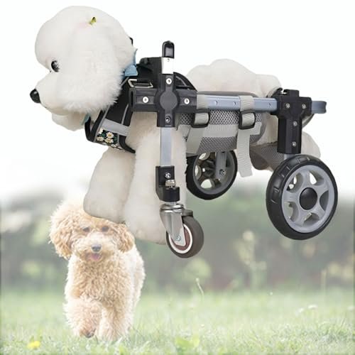 Generic Dog Wheelchair for Hind Legs, Lightweight Adjustable Mobility Aid for Small to Medium Dogs, 4 Wheels, M