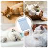 Cooling Dog Bed - Portable Summer Mat view 4