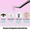 MuxAnzu Pre-Made Lash Fans, Short Stem, 4D 0.07 D 10 mm, 16 Rows view 3