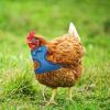 Chicken Harness, Comfortable Mesh Vest with Leash for Small Pets view 2