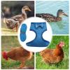 Chicken Harness, Comfortable Mesh Vest with Leash for Small Pets view 4