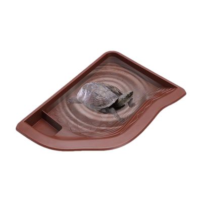 Reptile Water Dish
