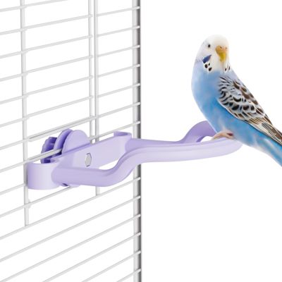 Edible Calcium for Birds - Paw Perch