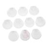 NUOBESTY 10-Piece Large Natural Scallop Shells for Crafts, Cooking, Baking, and Decoration view 1